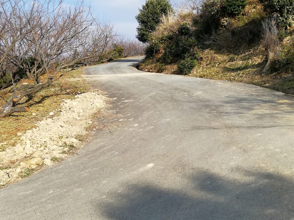 綾部山梅林 車椅子 安い ベビーカー